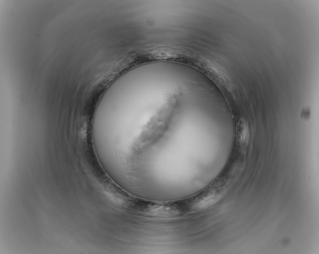 X0000091590315200709101046