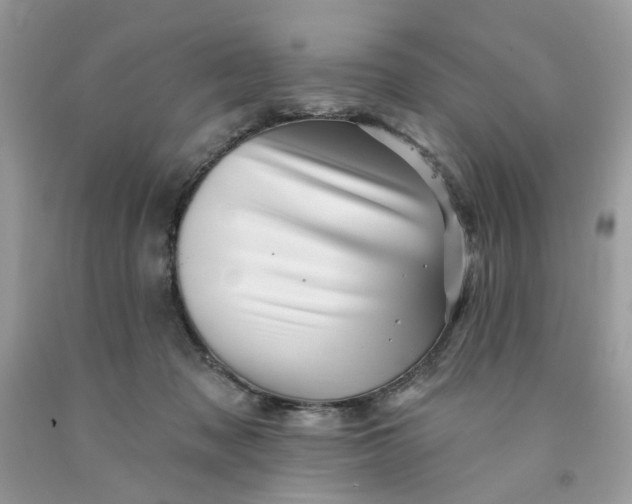 X0000091590317200709101046