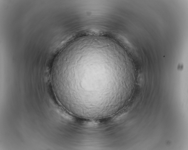 X0000091590318200709101046