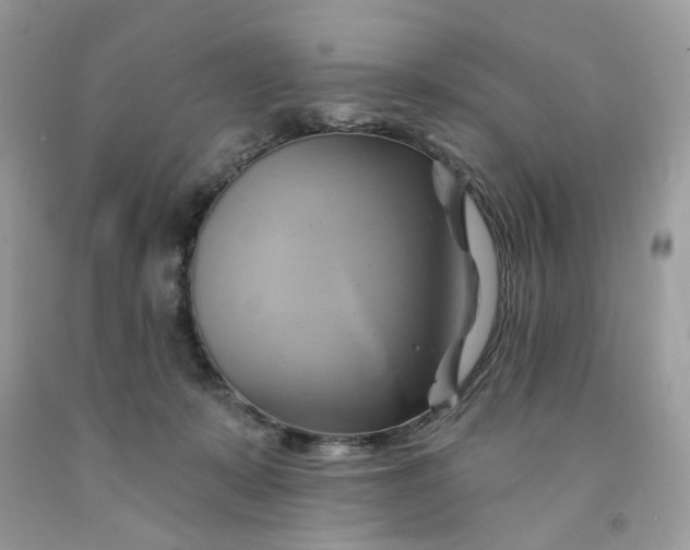 X0000091590319200709101046