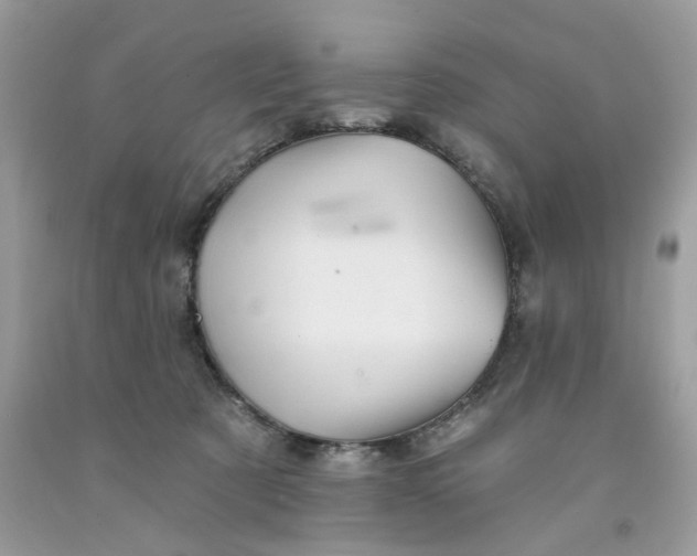 X0000091590321200709101046