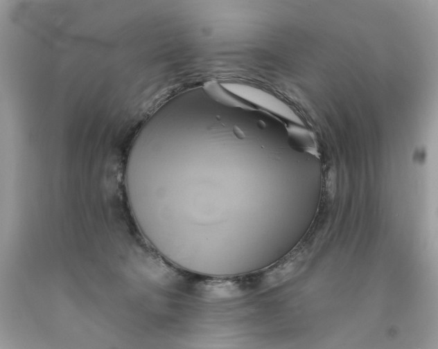 X0000091590322200709101046