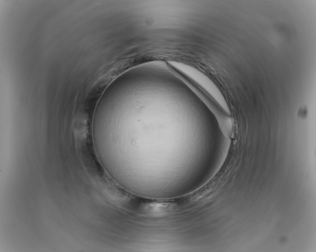 X0000091590323200709101046