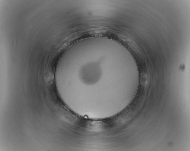 X0000091590324200709101046