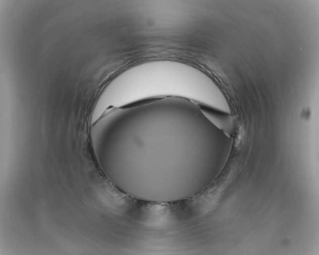 X0000091590325200709101046