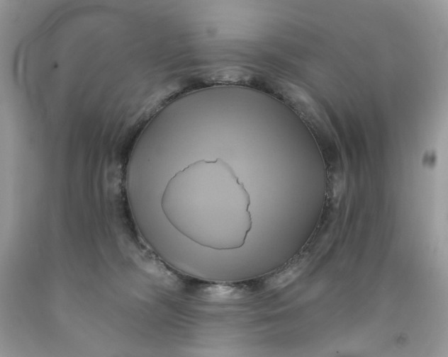 X0000091590326200709101045