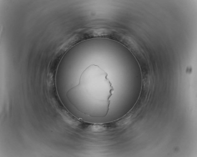 X0000091590327200709101045