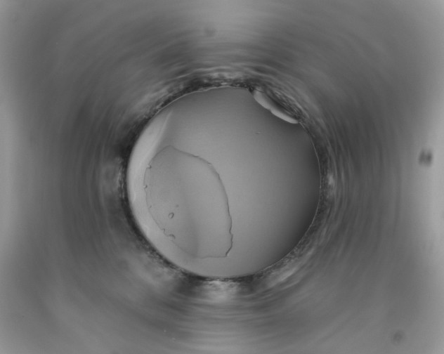 X0000091590328200709101045