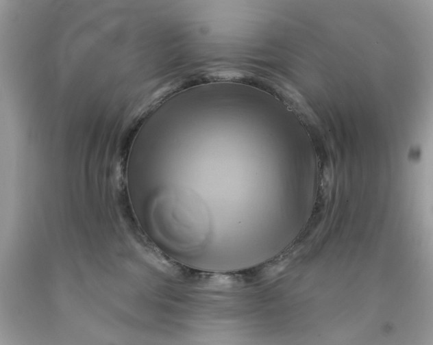 X0000091590330200709101045