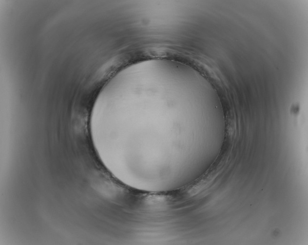 X0000091590332200709101045