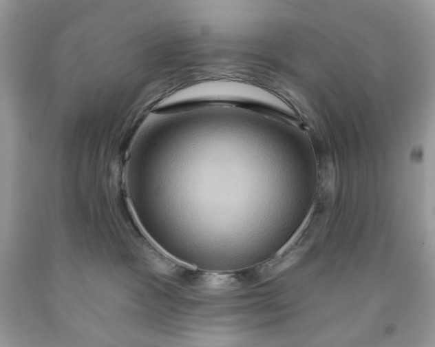 X0000091590333200709101045