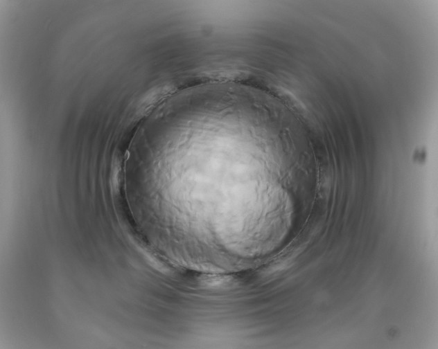 X0000091590334200709101045