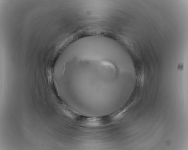 X0000091590335200709101045