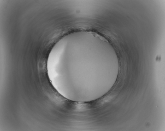 X0000091590336200709101045