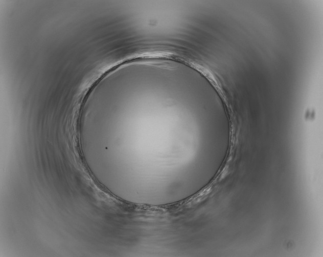 X0000091590337200709101045