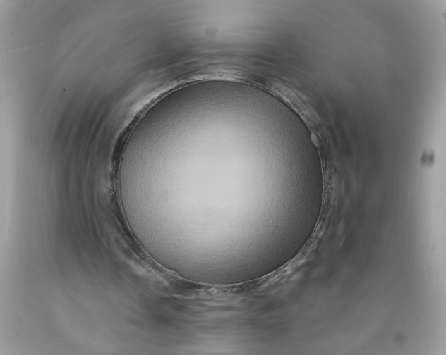 X0000091590338200709101045