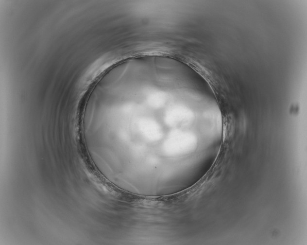 X0000091590339200709101045