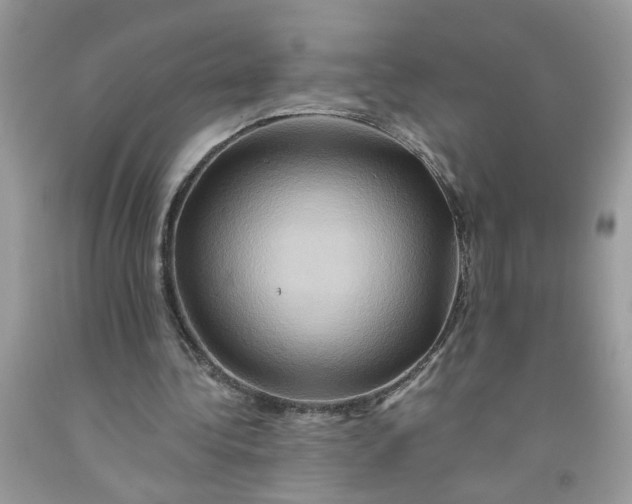 X0000091590340200709101045