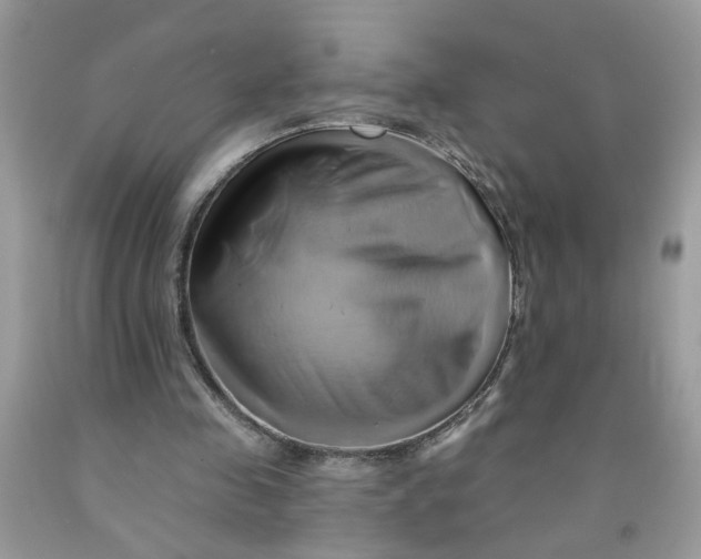 X0000091590341200709101045