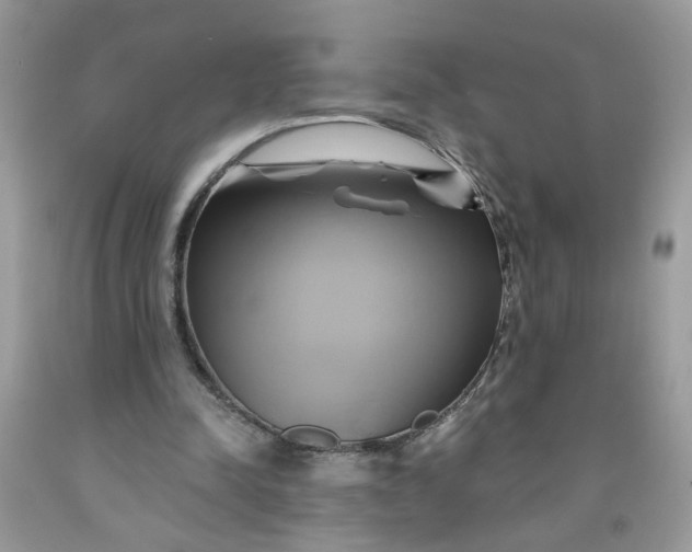 X0000091590342200709101045