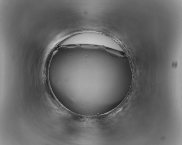 X0000091590343200709101045