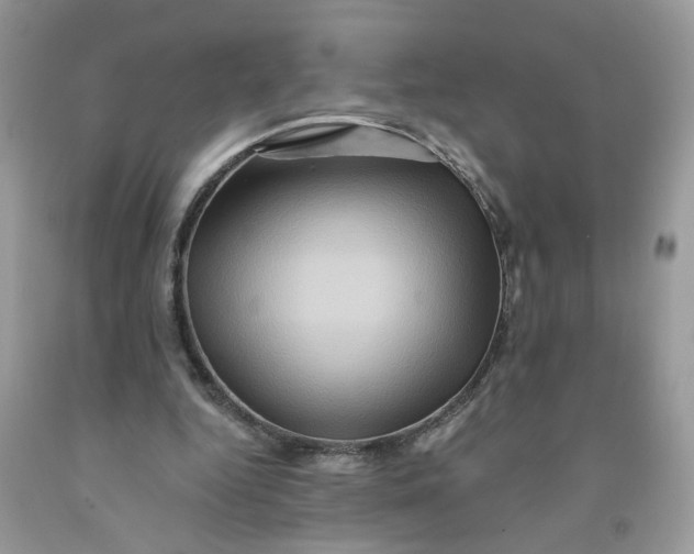 X0000091590344200709101045