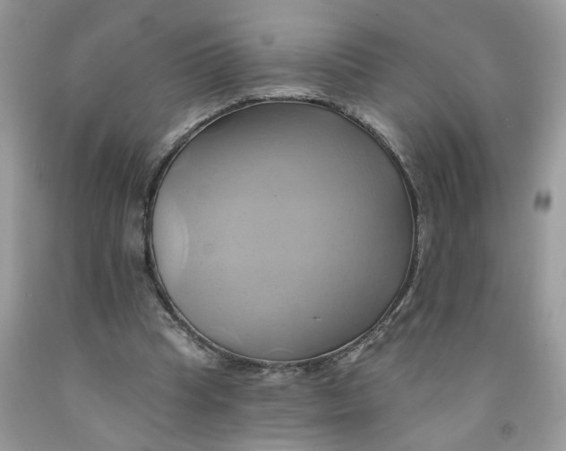 X0000091590345200709101045