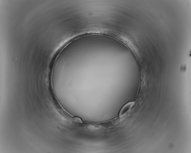 X0000091590346200709101045