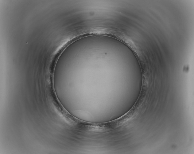 X0000091590347200709101045