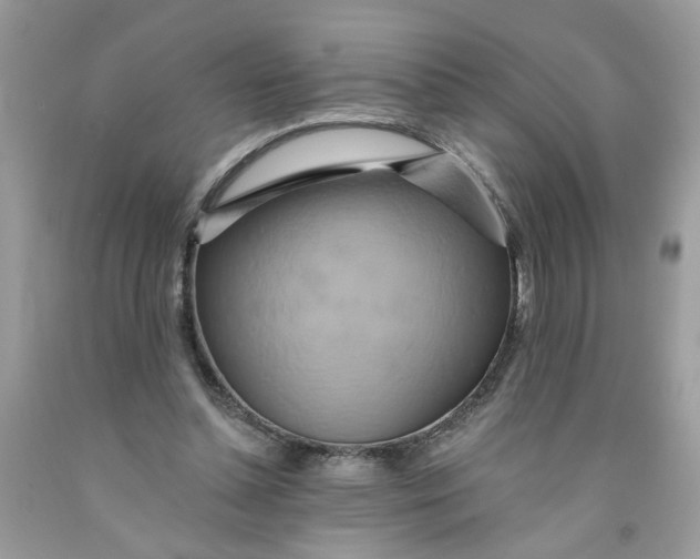 X0000091590348200709101045