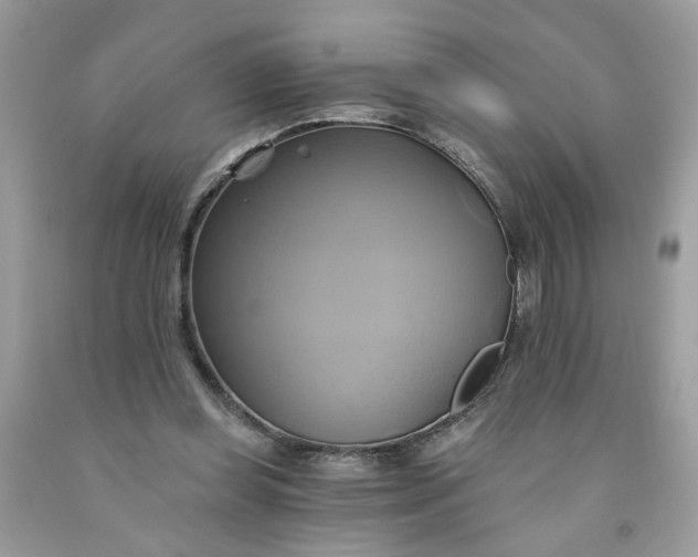 X0000091590349200709101045