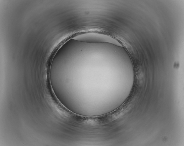 X0000091590350200709101045