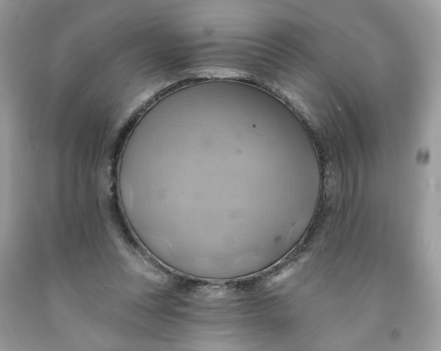 X0000091590351200709101045