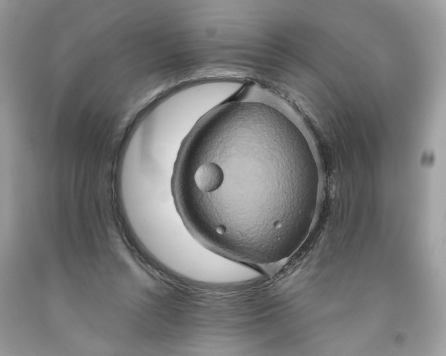 X0000091590352200709101045