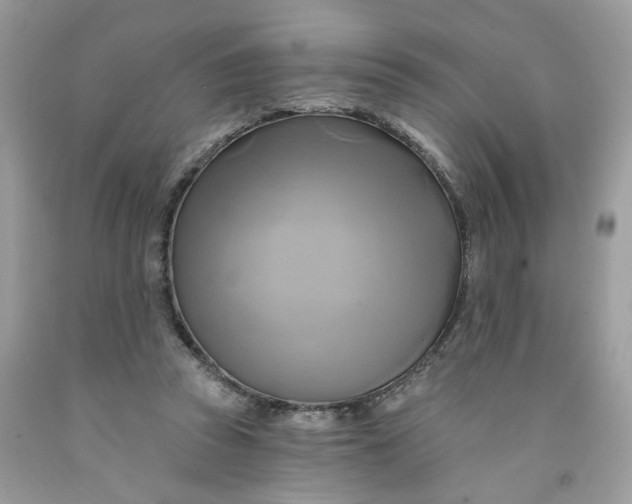 X0000091590353200709101045