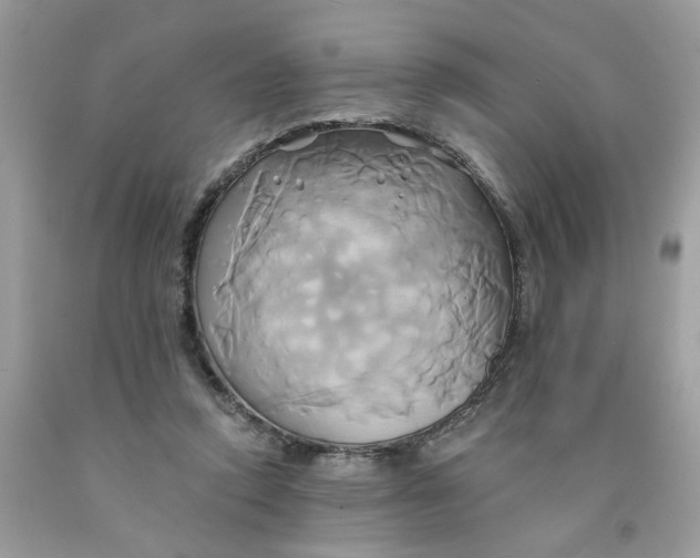 X0000091590354200709101045