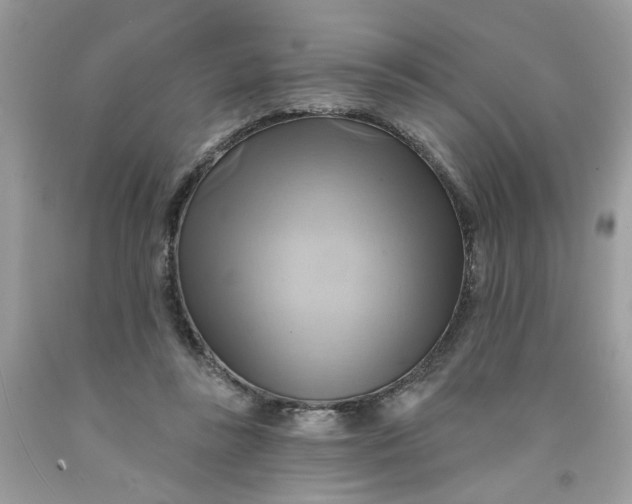 X0000091590355200709101045