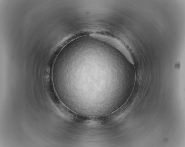 X0000091590356200709101045