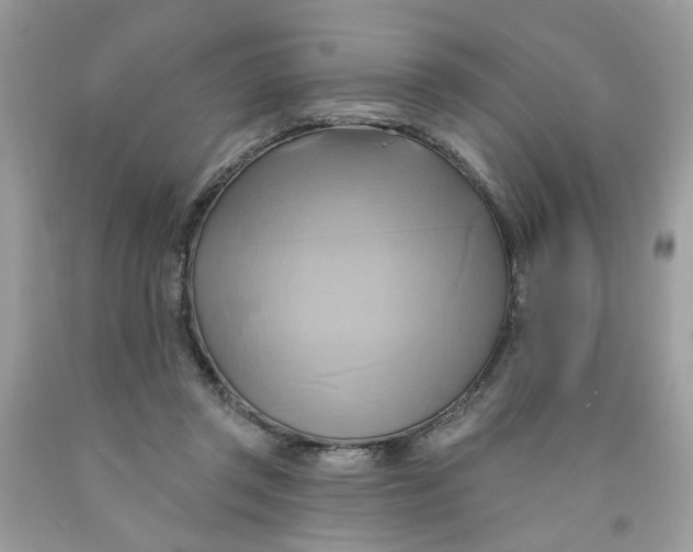 X0000091590357200709101045