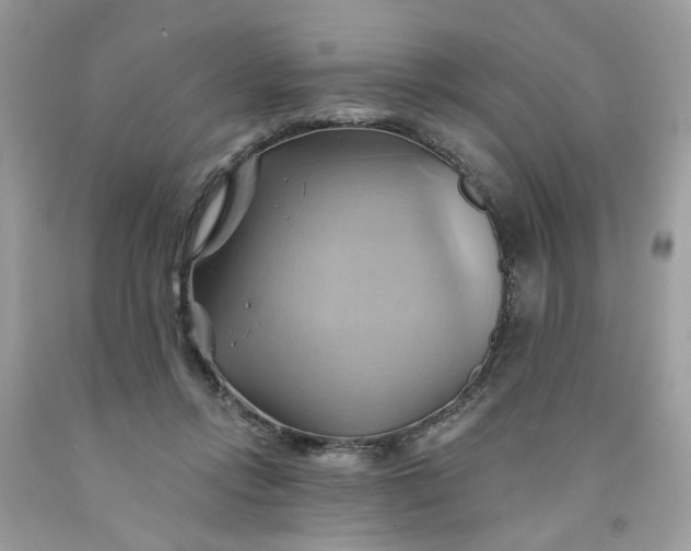 X0000091590358200709101045