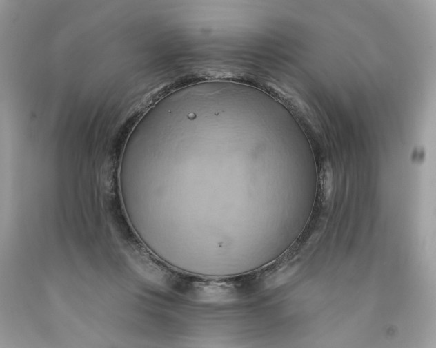 X0000091590359200709101045