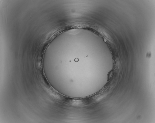 X0000091590361200709101045