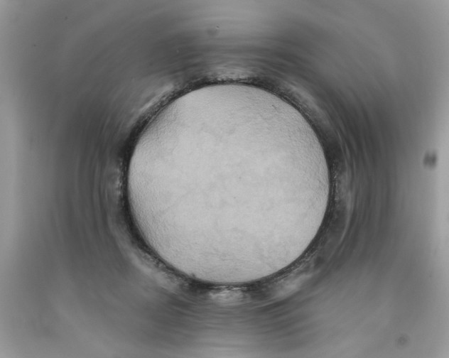 X0000091590362200709101045