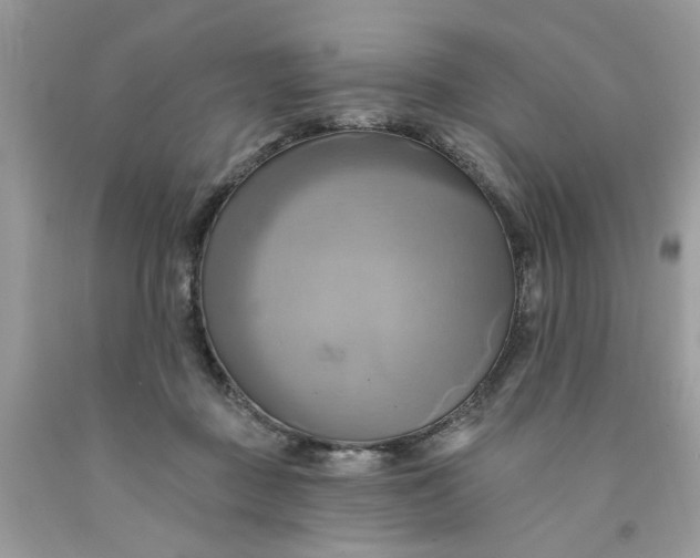 X0000091590363200709101045