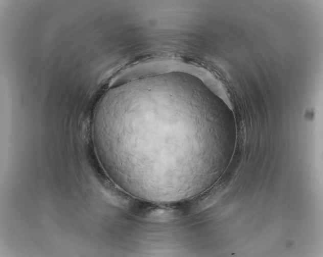 X0000091590364200709101045