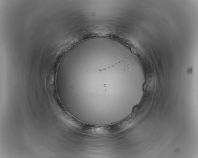 X0000091590365200709101045