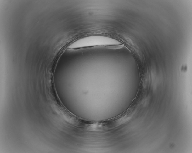 X0000091590366200709101045