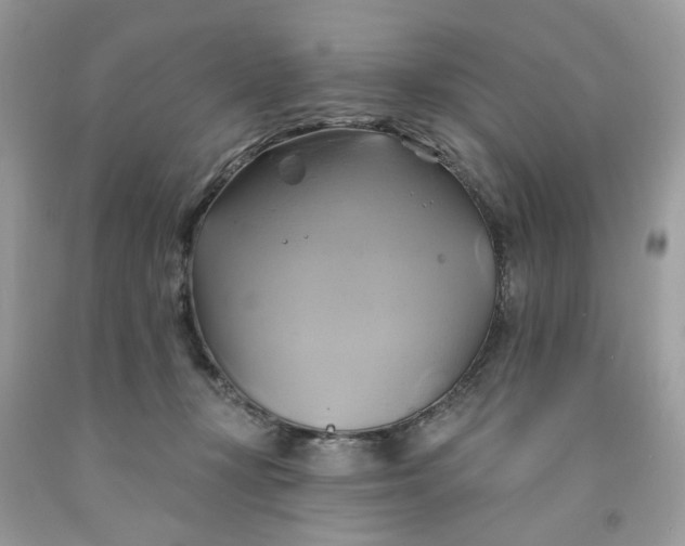 X0000091590367200709101045