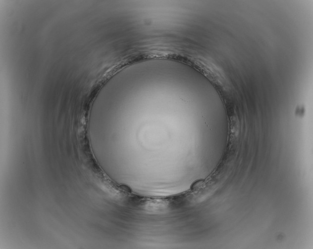 X0000091590369200709101045