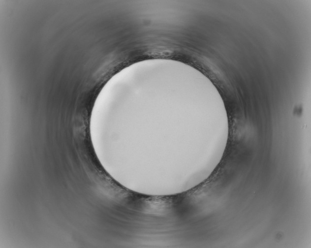 X0000091590370200709101045